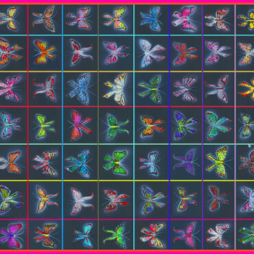 Papillons X1080